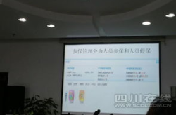 成都社保局,全面解析社保查询、缴费及服务优化举措”