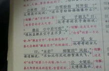 陈太丘与友期原文及翻译,古代诚信友情的经典写照