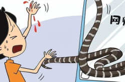 女孩网购蛇被咬身亡,网购剧毒银环蛇致女孩身亡，责任归属引争议