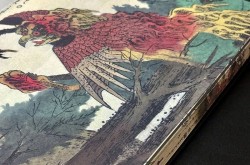 新书速递｜“子不语怪力乱神”但怪力乱神却屡屡穿越时空2025年6月3日