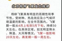飞絮又来了！北京发布首个杨柳飞絮预报 如何预防一文读懂？h小说txt打包下载