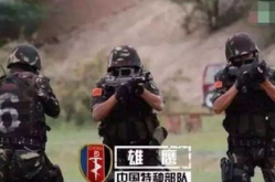 特种部队在线观看,在线观看背后的英勇故事