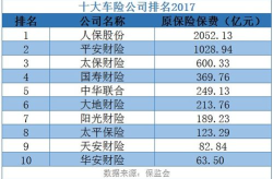 车辆保险公司排名,揭秘行业佼佼者，为您保驾护航