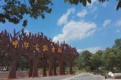 林州板栗园一日游价格,体验古树板栗魅力，畅游自然风光之旅”