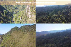 永远的7日之都被抛下的人攻略海南五一去哪玩比较好：五一假期海南旅游更佳去处推荐